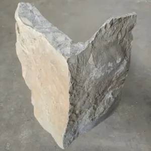 Angle rentrant